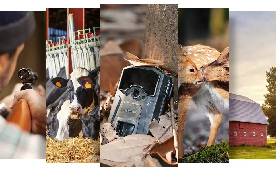 Apeman h55 trail camera