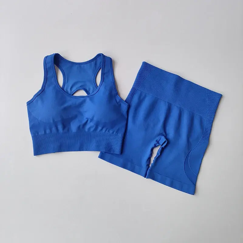 2 pcs women seamless yoga set sexy sport bra + high waist sports shorts gym clothing fitness