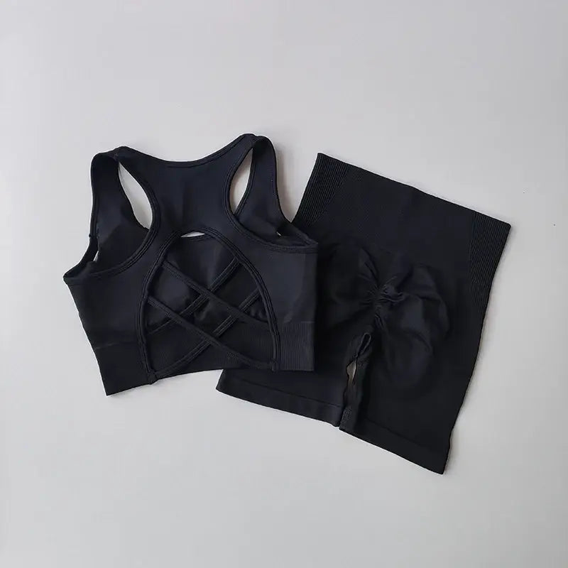 2 pcs women seamless yoga set sexy sport bra + high waist sports shorts gym clothing fitness