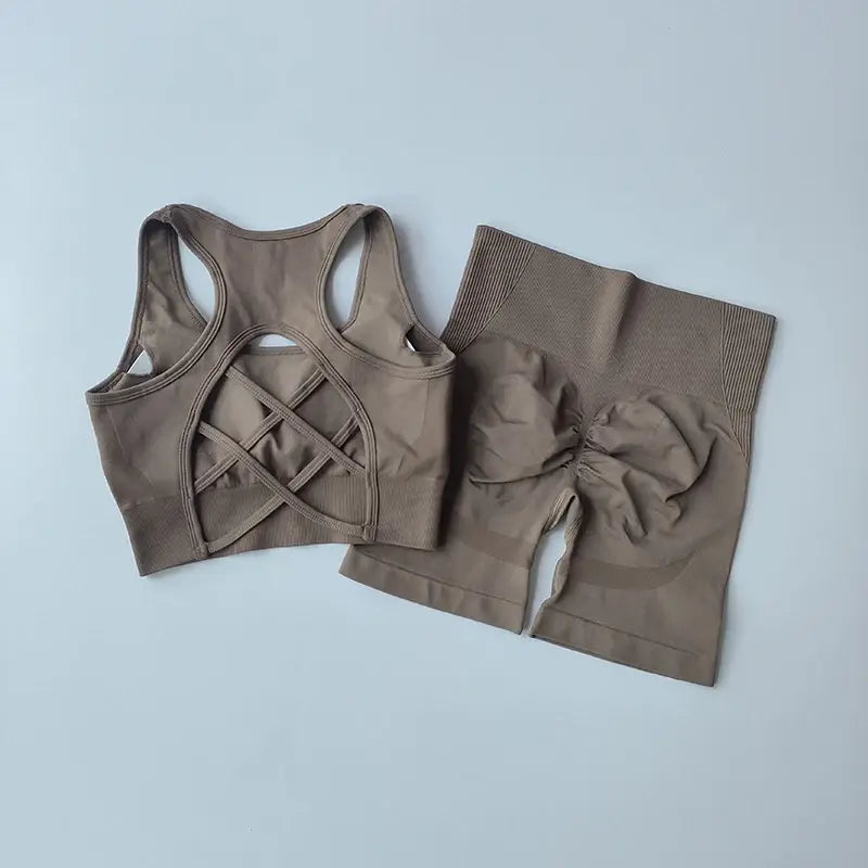 2 pcs women seamless yoga set sexy sport bra + high waist sports shorts gym clothing fitness